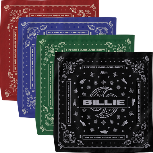 Paisley Bandana 4 Pack